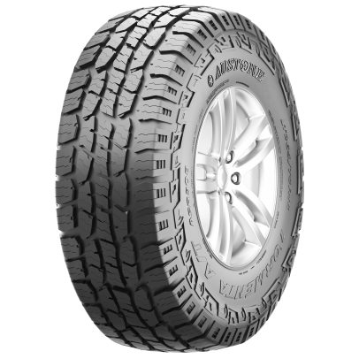 AUSTONE SP308 Tires