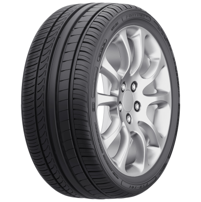 FORTUNE FSR-701 Tires