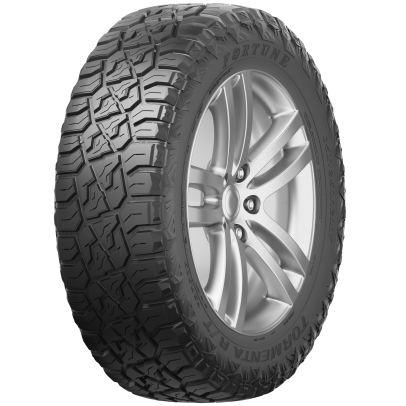 FORTUNE FSR309 Tires