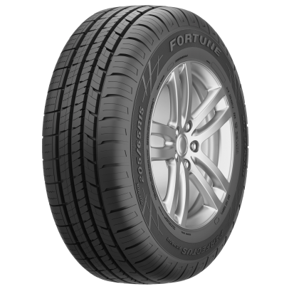 FORTUNE FSR602 Tires